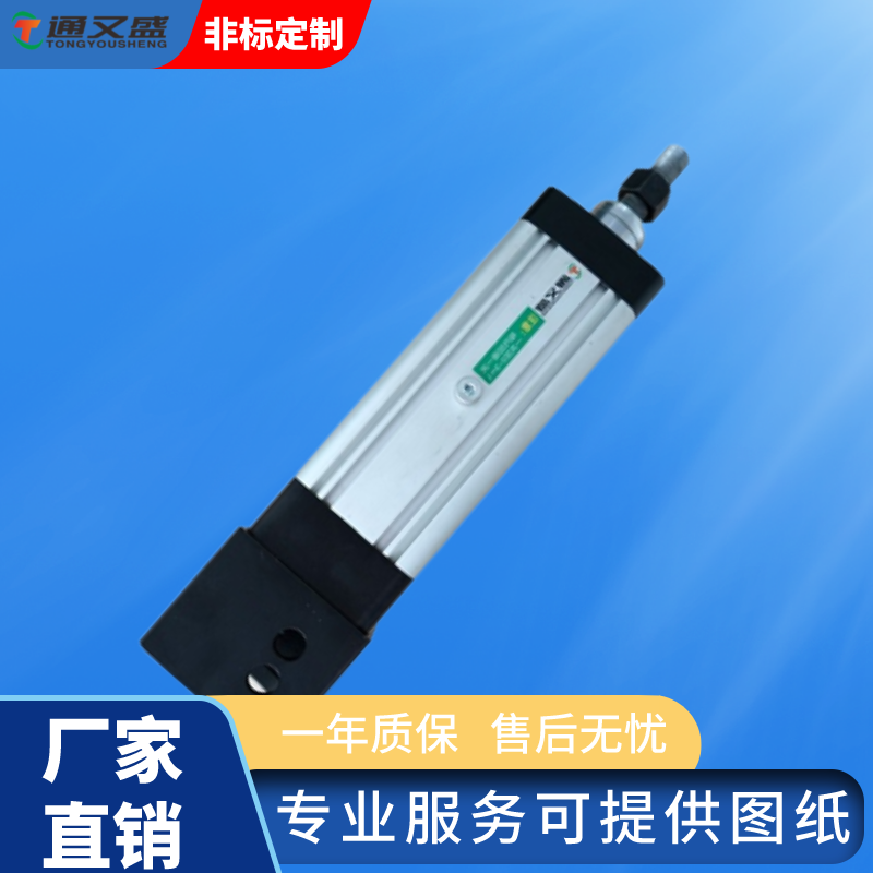 伺服電動(dòng)缸實(shí)拍圖.png