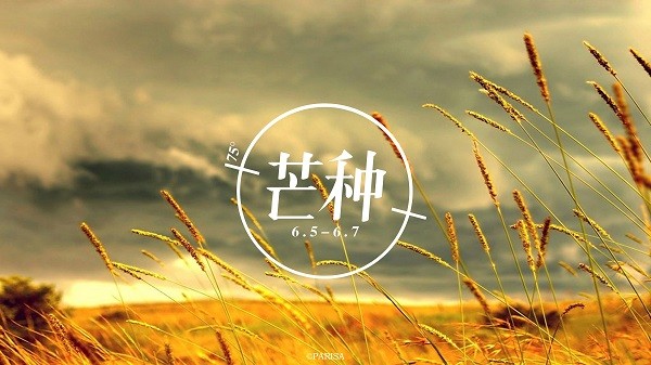 通又盛新聞圖.jpg