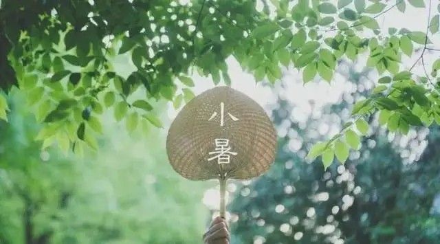 今日小暑——倏忽溫風至，因循小暑來
